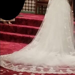 Beautiful Cathedral Veil